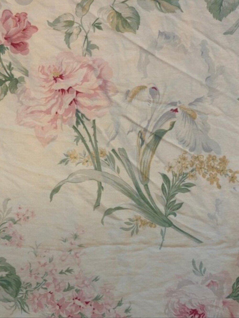 Ralph , lauren king size  Rose print  pillowcases 2